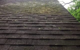 roof cleaning jacksonville