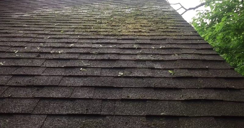 roof cleaning jacksonville