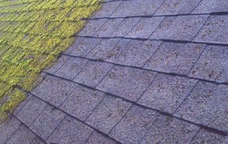 consequences-of-a-dirty-roof