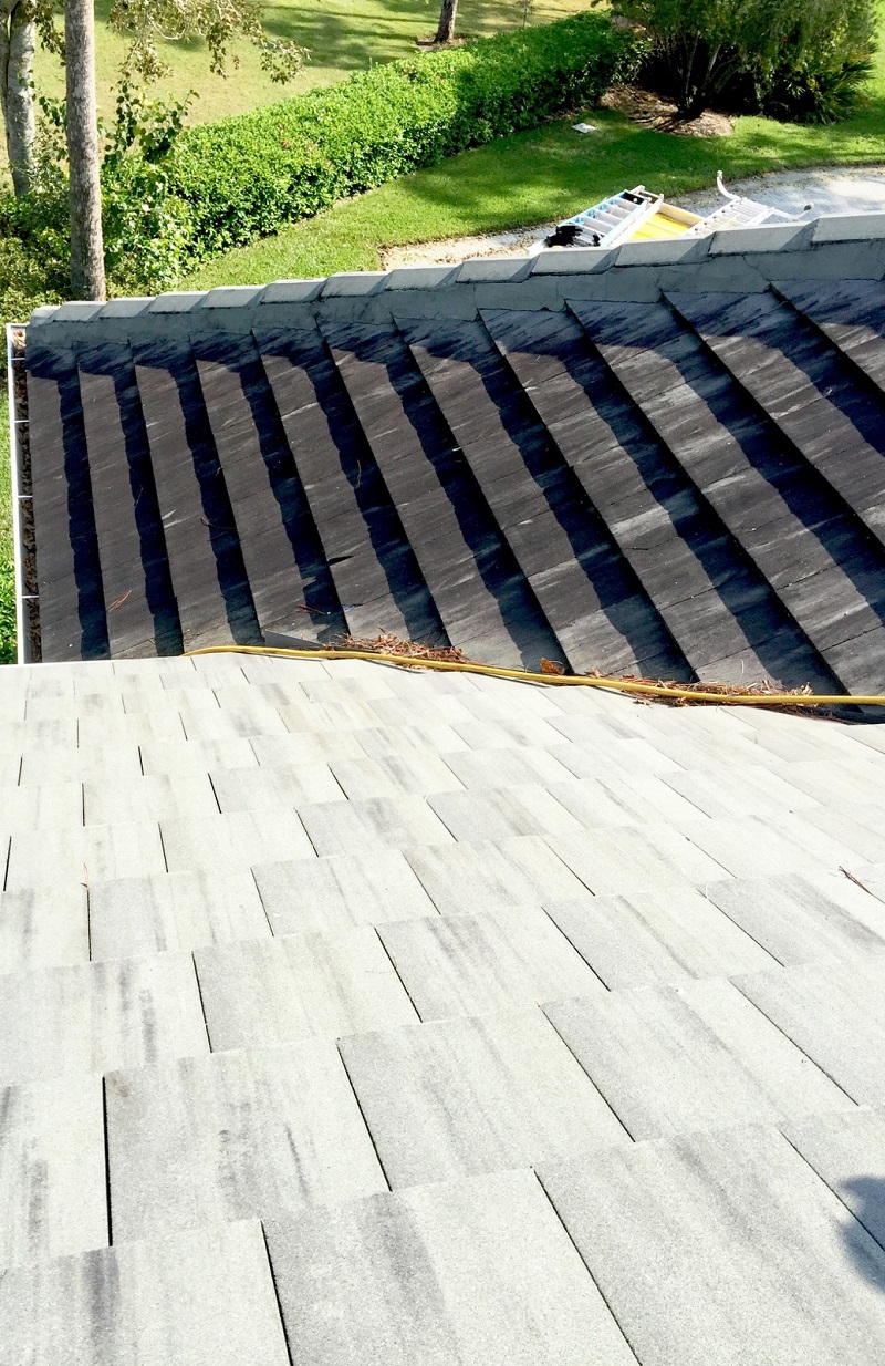 hire-roof-cleaning-experts